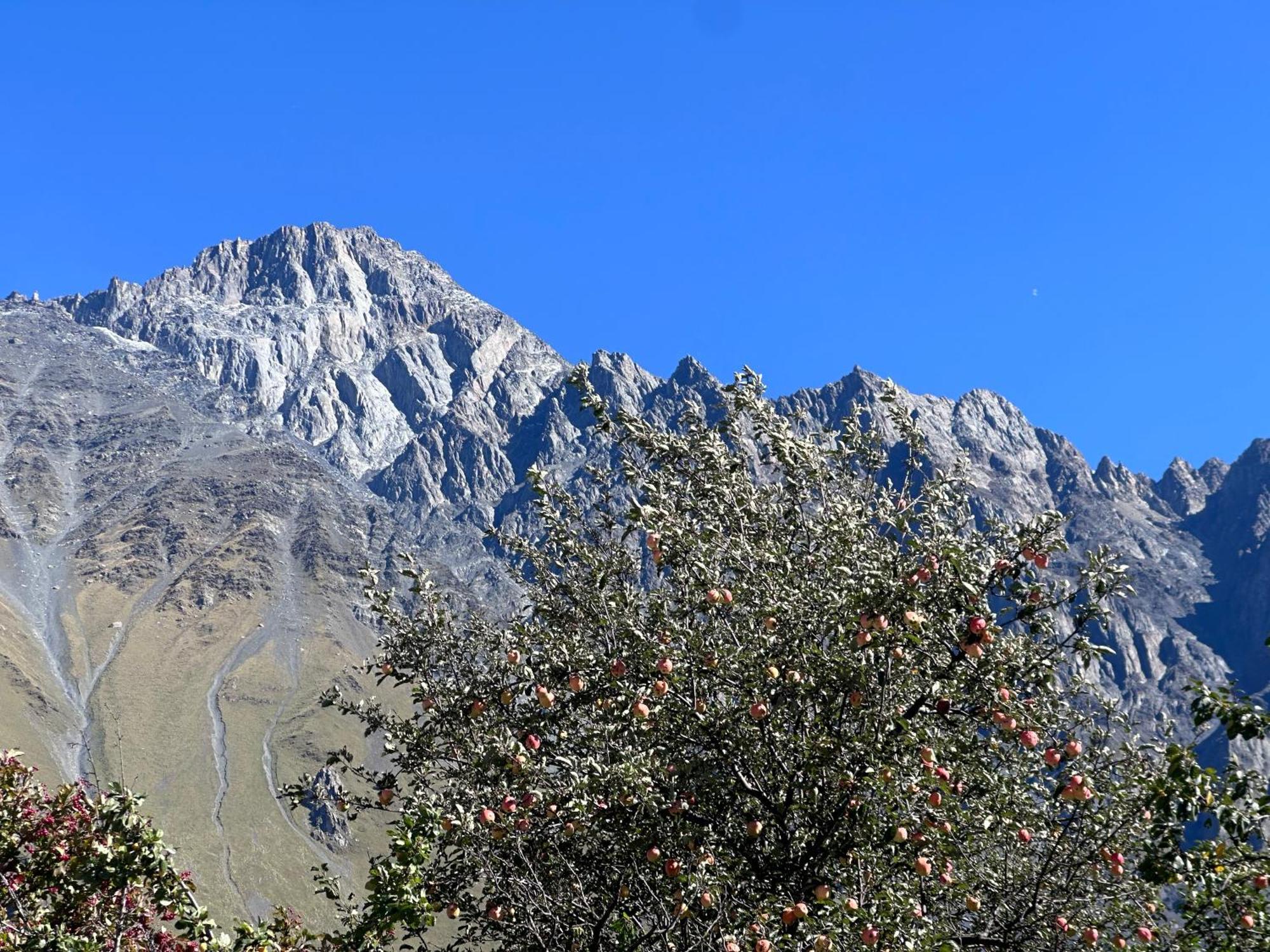 Hotel Mountime Kazbegi Bagian luar foto